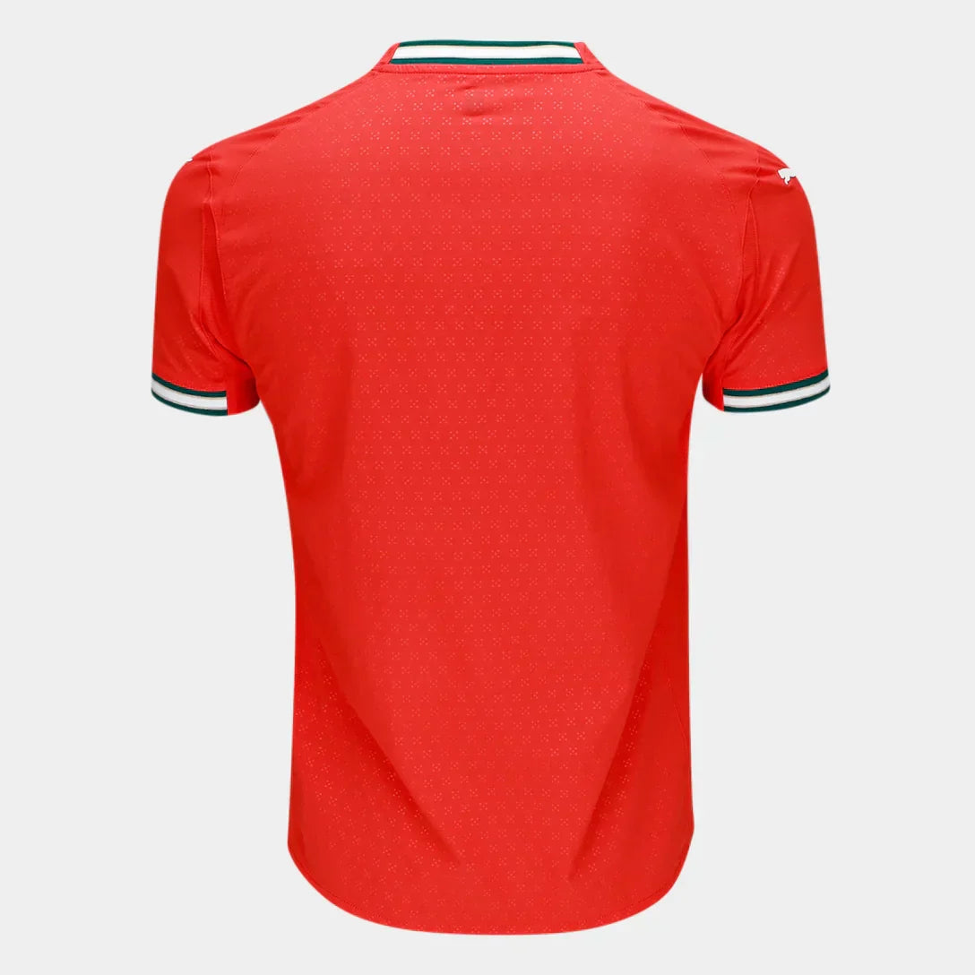 Camisa Seleção Portugal Home 25/26 s/n Puma Masculina - Vermelho